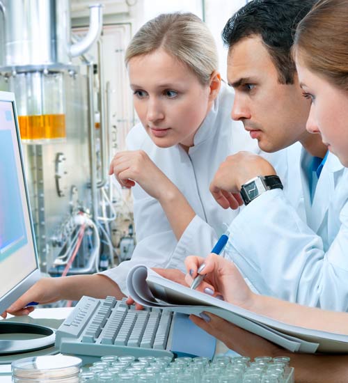 PeopleSoft Human Resources Management implementation and upgrades