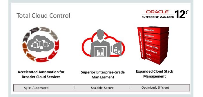 PeopleSoft domain expertise includes Human Resource